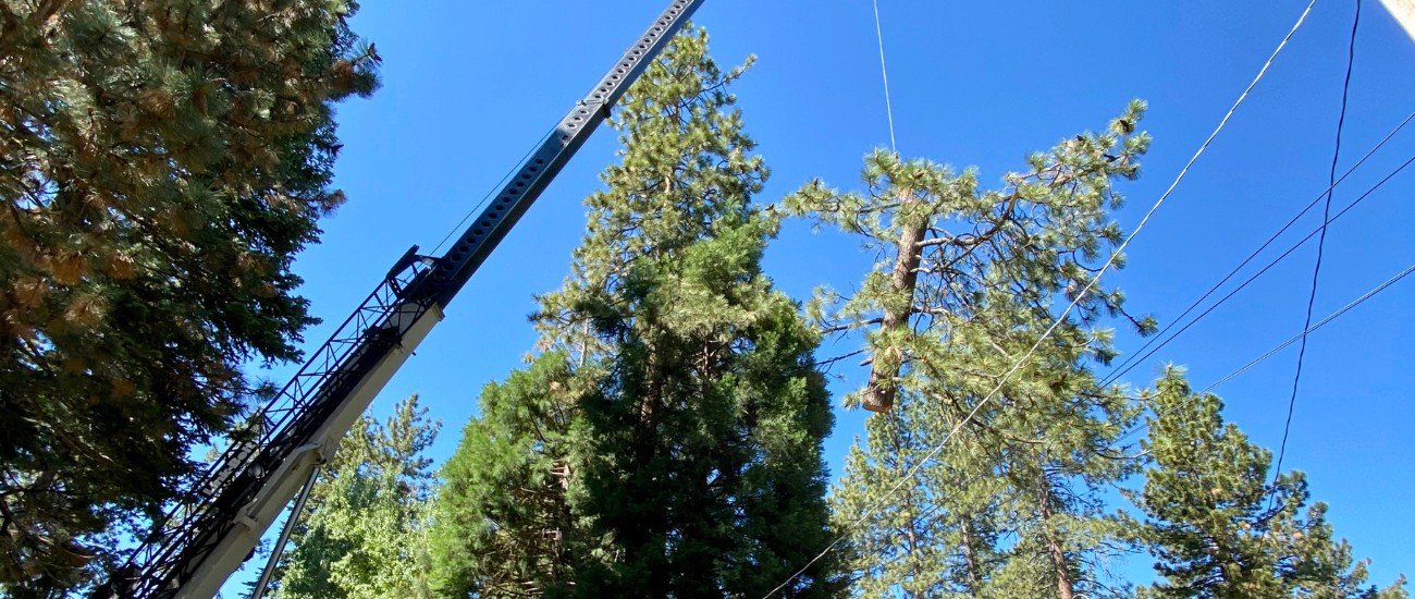 The Arbor solutions crane performing tree removal in Northstar, CA.