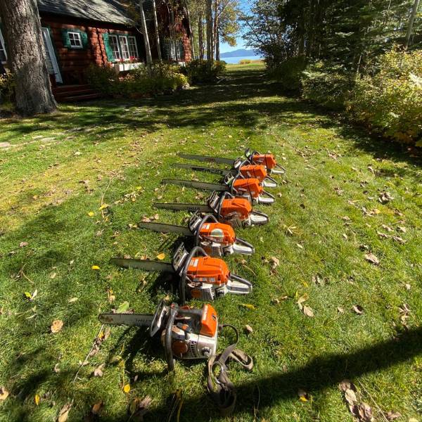 Website-Tree-pruning-section-lined-up-chainsaws