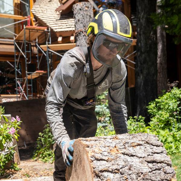 Arborist rolling copped trunk as part of work cleaning