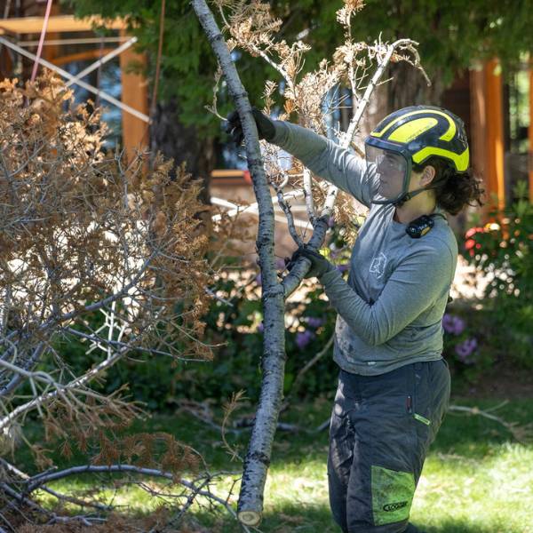 Website-local-incline-village-section-female-arborist